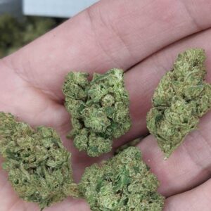 THCA Quarter Pound Sampler Pack - Limited