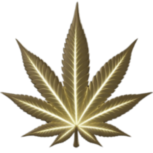 thca cafe icon